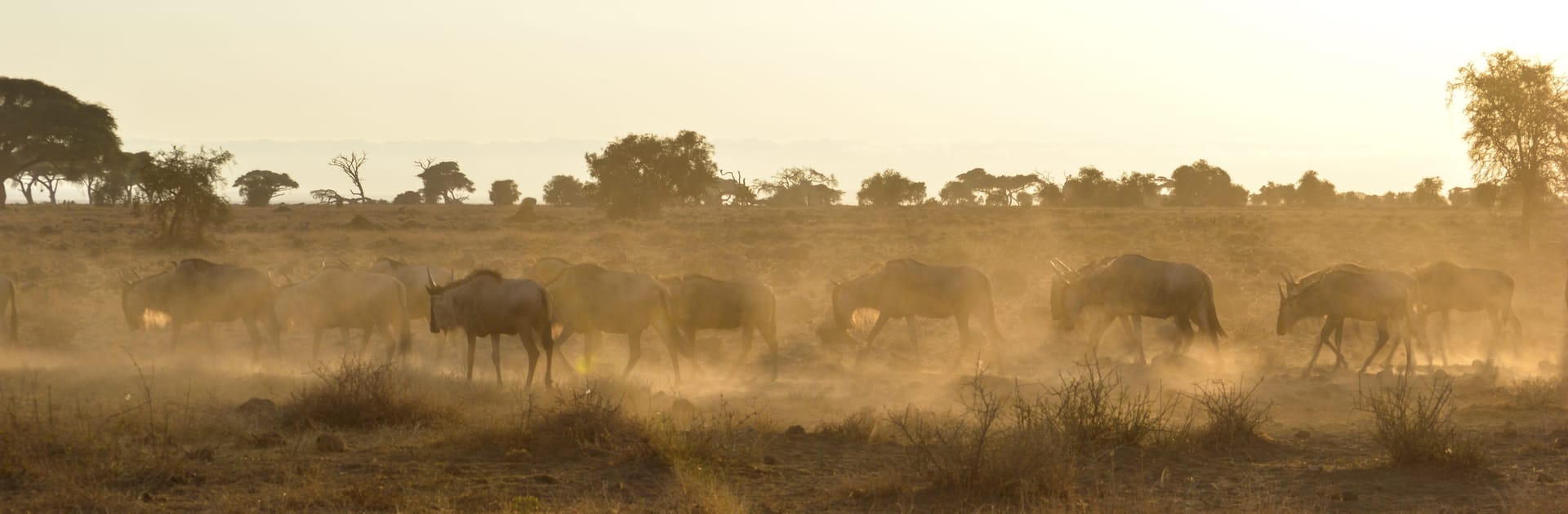 Introducing...KRRD on Ghost